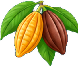 Cocoa pods